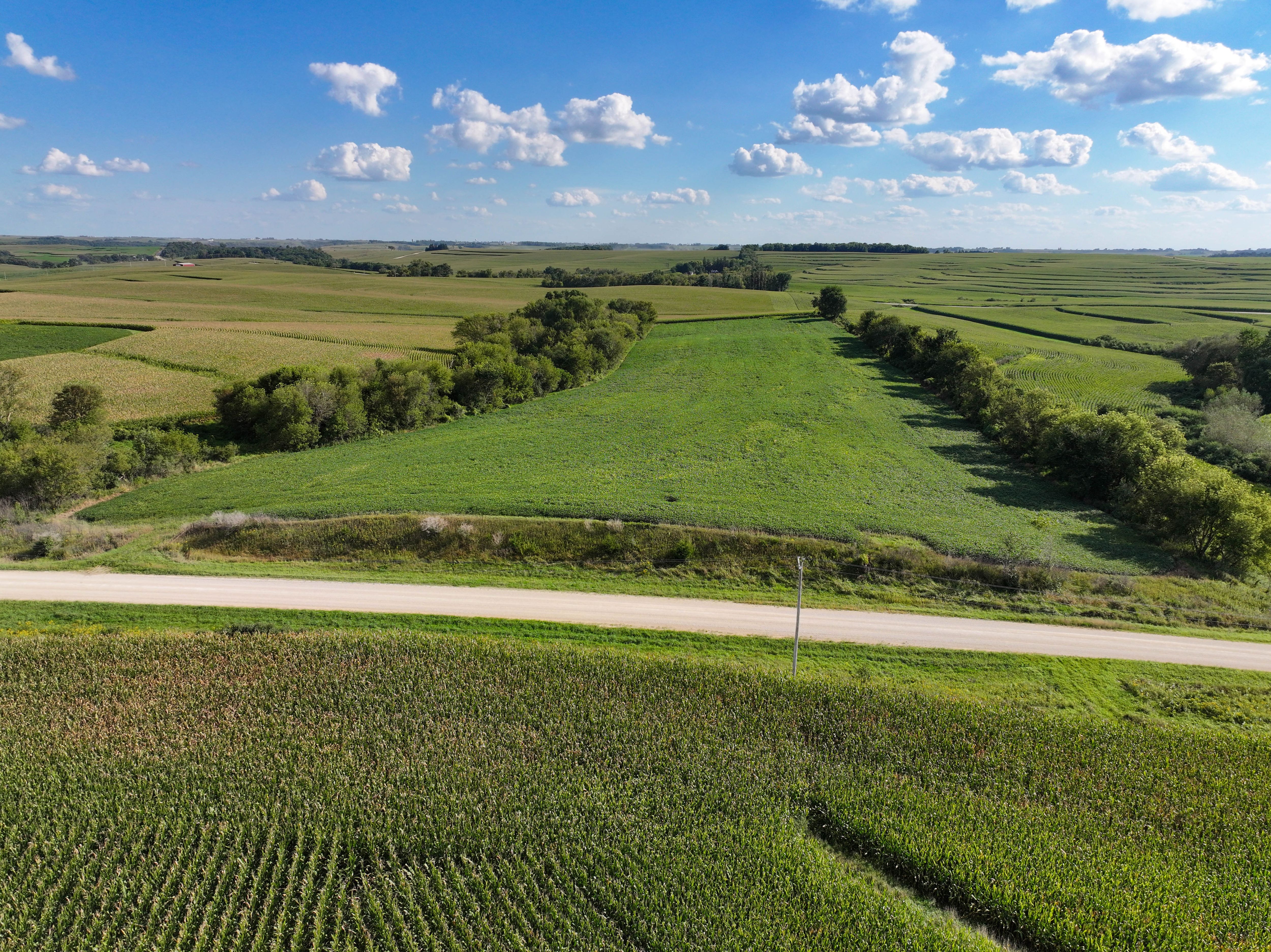 Listing Photo: 5-Allamakee County Farm Auction